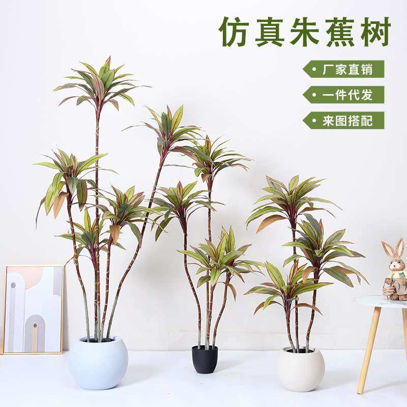 高级仿真绿植造景仿真朱蕉假树盆栽室内客厅落地装饰摆件仿生植物,3C数码配件,其它配件,淘宝优惠券,粉丝福利购,淘宝优惠卷