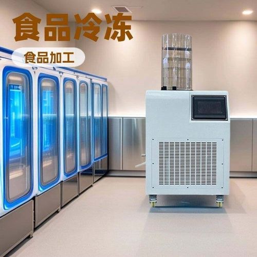 冻干机家用低温冷冻式干燥机食品果蔬小型干燥机实验室真空冻干机
