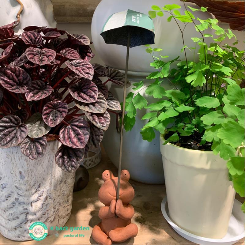 粗陶手作瑜伽青蛙摆件陶土兔子雨伞花插插件红陶龙猫摆件园艺杂货