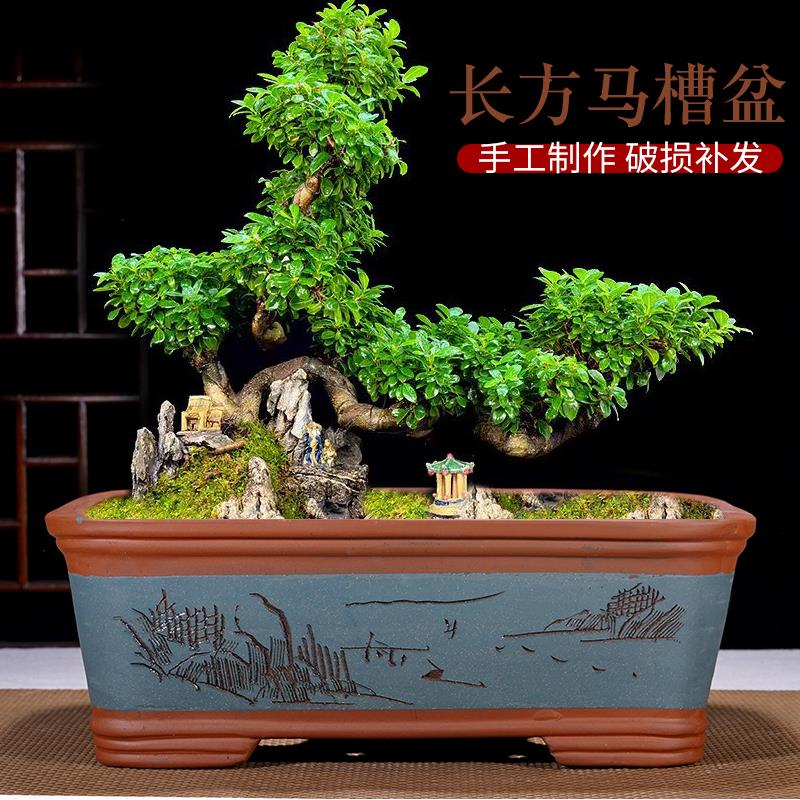 宜兴长方形紫砂花盆大口径种树桩四方马槽盆纯手工制作种树盆景盆