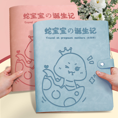 孕检收纳册报告单收纳袋蛇宝宝孕妈妈孕妇b超建档手册本怀孕检查