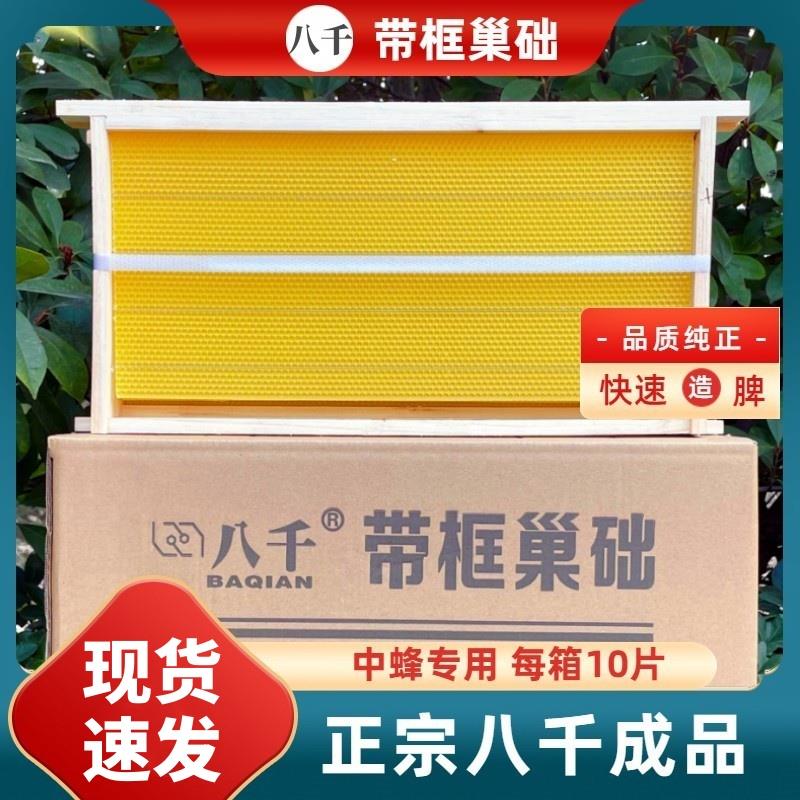八千中蜂巢础巢框成品带框蜂巢意蜂巢脾蜜蜂巢基蜂箱专用工具养蜂