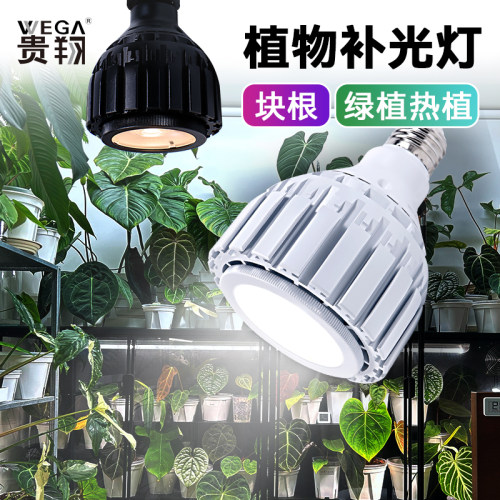 贵翔植物补光灯E27聚光灯泡家用龙舌兰块根绿植全光LED植物生长灯