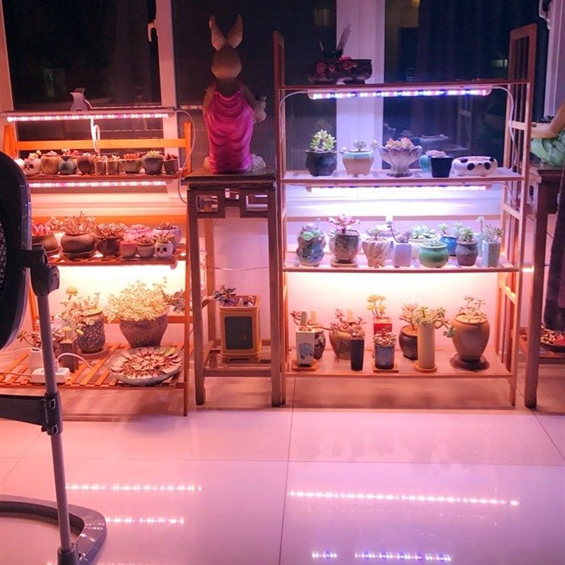 wega贵翔植物生长灯全光谱仿太阳多肉补光灯上色防徒家用led灯管,家装灯饰光源,植物生长灯,淘宝优惠券,粉丝福利购,淘宝优惠卷