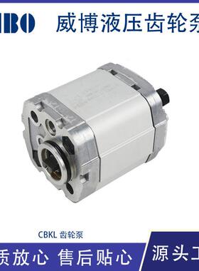 液压齿轮泵小型高压油泵大流量设备配件CBKL系列动力单元