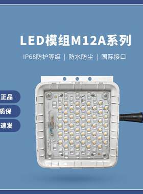 华普永明模组M12A含驱动户外防水60W庭院灯景观灯路灯模组