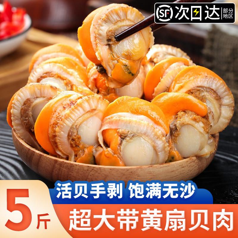 扇贝肉新鲜冷冻特大号带黄鲜贝肉可做蒜蓉粉丝商用海鲜红贝