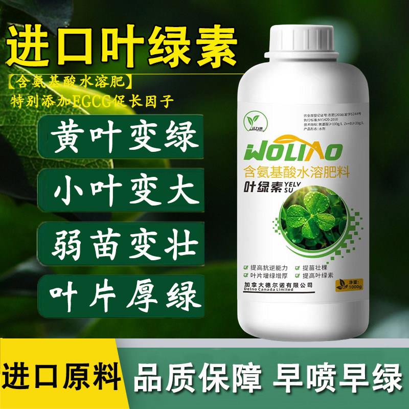 进口植物叶绿素黄叶枯叶一喷绿增绿增厚蔬菜花卉果树水溶叶面肥料