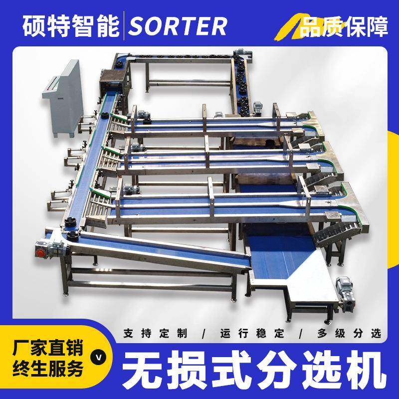 释迦果果托式皮带分拣机呵护式分选设备菠萝水果选果机多级分选,清洗/食品/商业设备,肉制品加工设备,淘宝优惠券,粉丝福利购,淘宝优惠卷