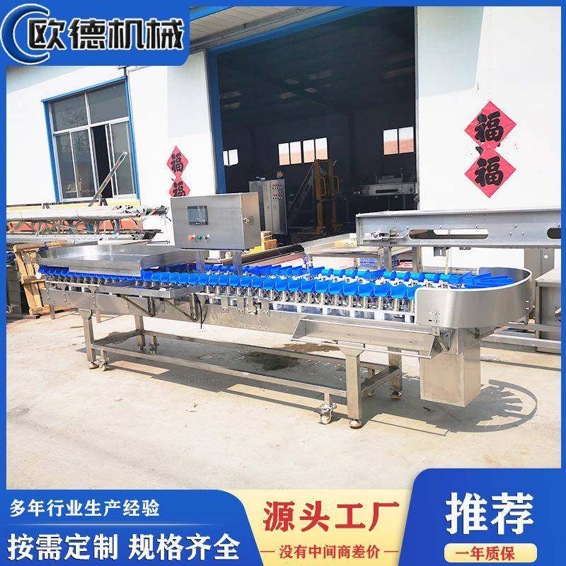 牡蛎重量分选机牡蛎拣选机生蚝重量分级机多级分选自动连续工作,五金/工具,其他包装设备,淘宝优惠券,粉丝福利购,淘宝优惠卷