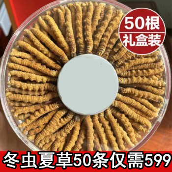 正宗野生冬虫夏草礼盒装虫草送礼佳品滋补养生送朋友领导非断那曲