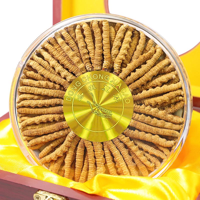 冬虫夏草正宗野生西藏虫草整草头期干货干货非那曲断草