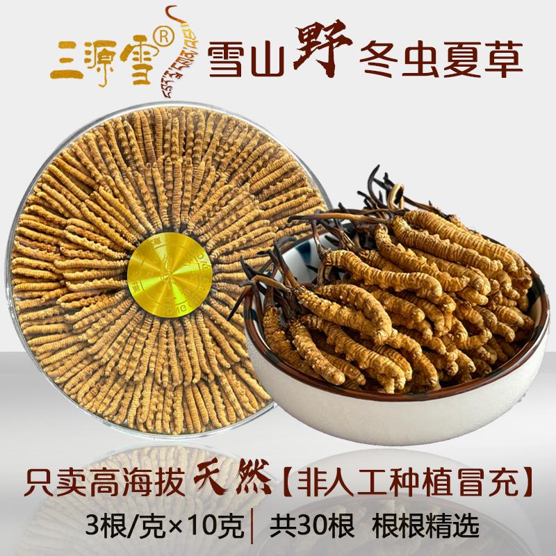 野冬虫夏草3根/克2克6根玉树新虫草无断礼盒非西藏那曲