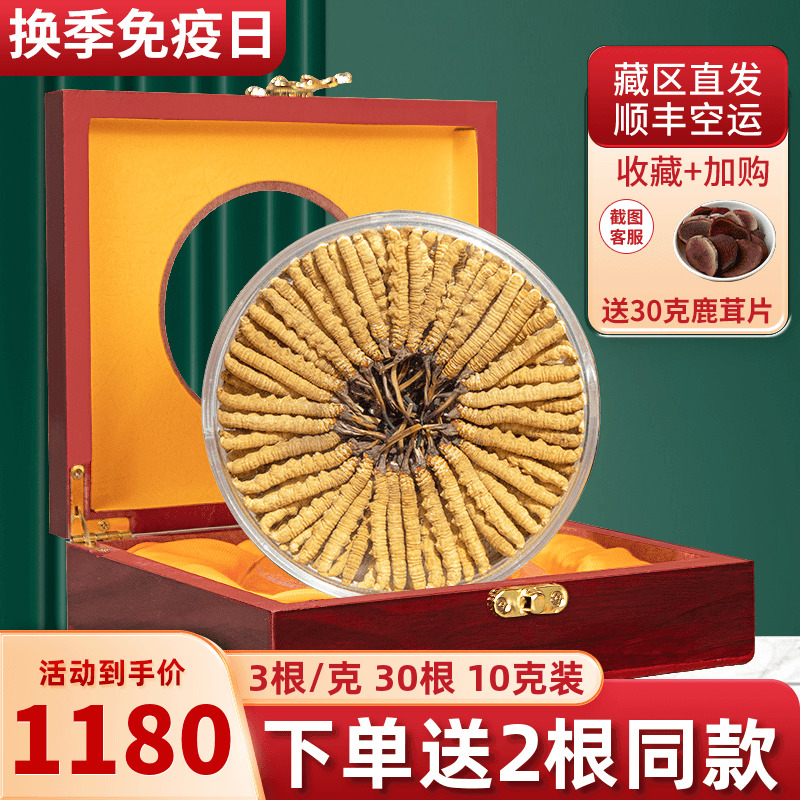 冬虫夏草4根克4010礼盒装5