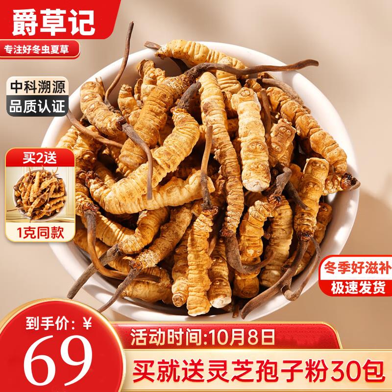 爵草记 藏地虫草高海拔冬虫夏草干货虫草断虫草肉节大断草