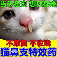 猫鼻支特效药治疗猫咪感冒药打喷嚏流鼻涕鼻炎鼻塞营养液药专用