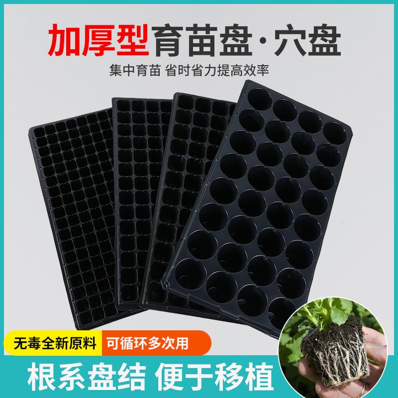 育苗穴盘加厚可降解塑料育苗器蔬菜多肉苗木花卉基质盘整箱