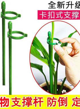 家里种菜种花需要它!植物固定防倒伏支撑杆!园艺盆栽护叶扶持架