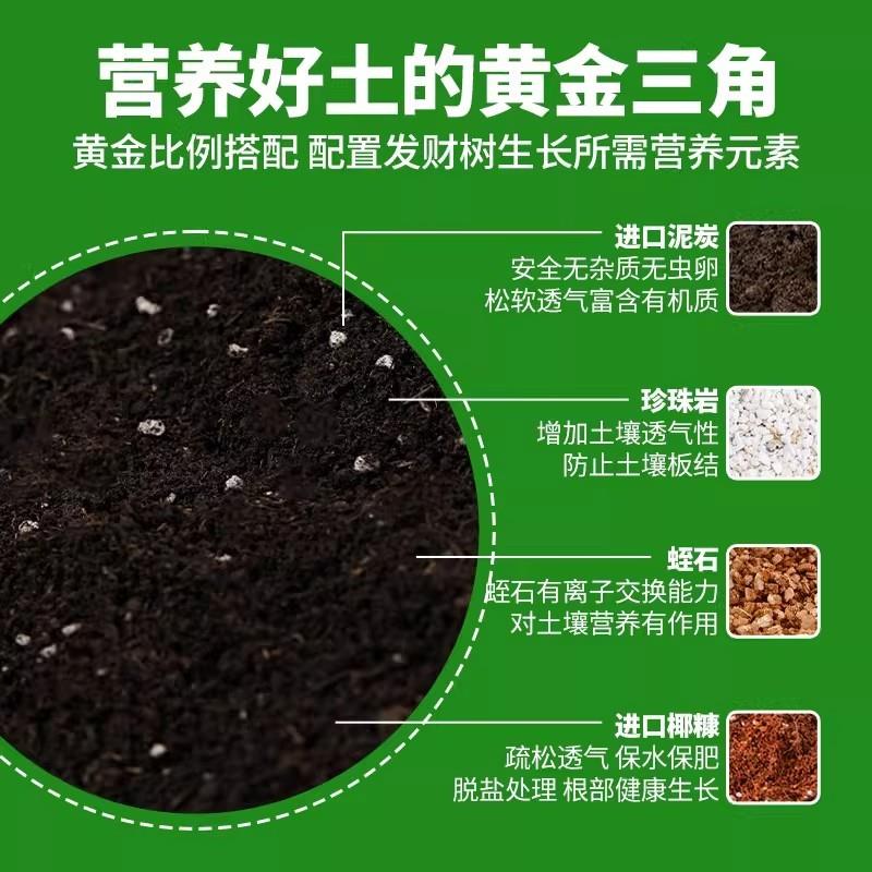 发财树专用土营养土有机盆栽绿植肥料专用肥土家用养分均衡土壤