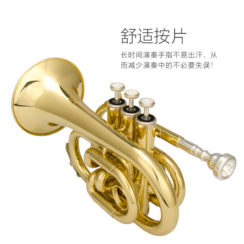 津宝 手掌号JBMT-500 便携式小号 降B调袖珍短号 铜管乐器 新品