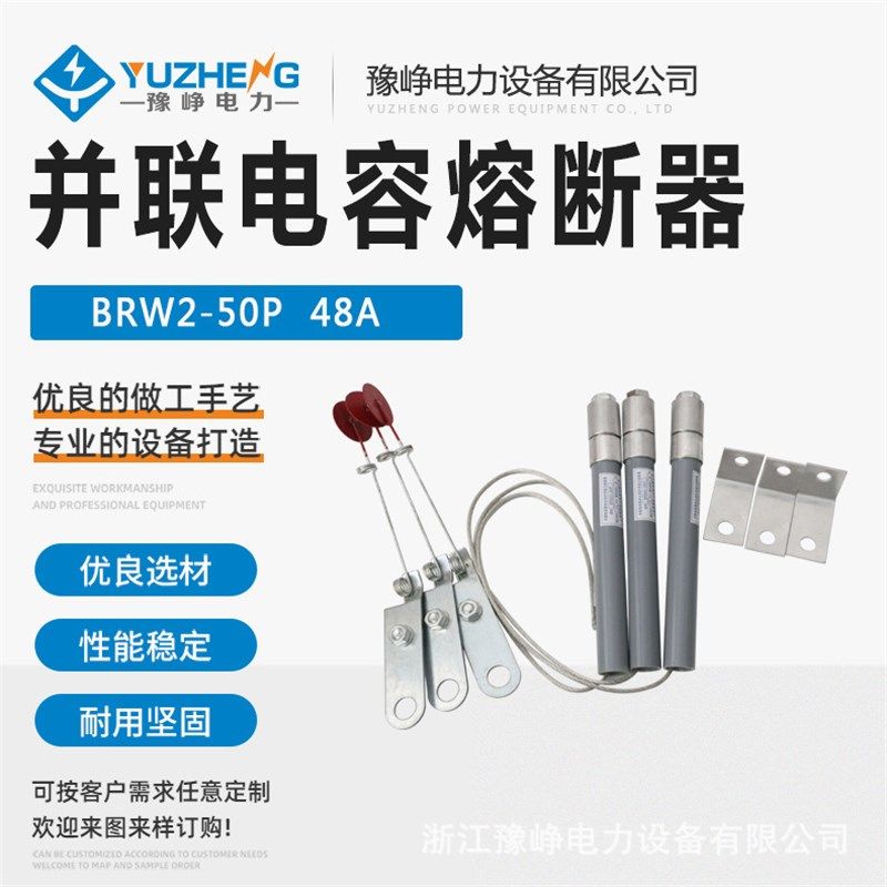 BRW2-10KV 并联电容熔断器 BRW2-50P 48A 并联电容保护用熔断器