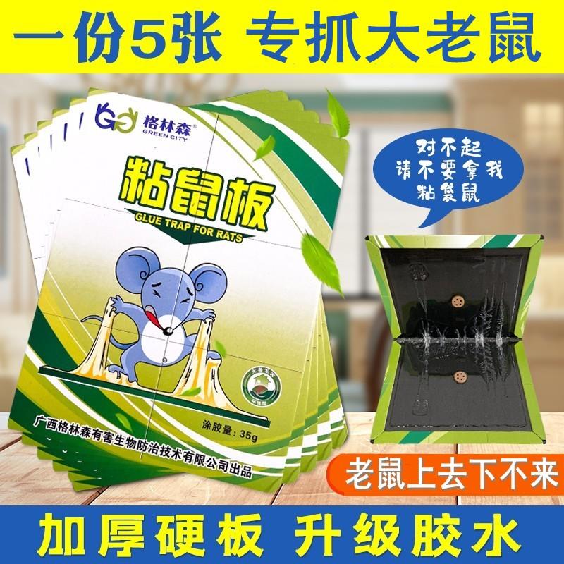 强粘鼠板力抓粘大老鼠双面胶药捕鼠灭老鼠器夹子家用灭耗子贴笼5