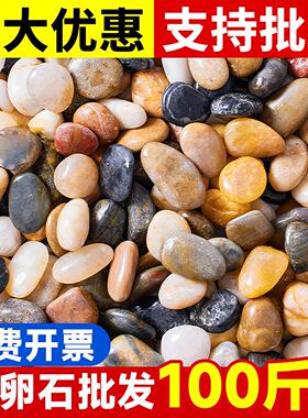 五彩鹅卵石天然石子铺地庭院鱼缸造景石头大号雨花石白黄黑色
