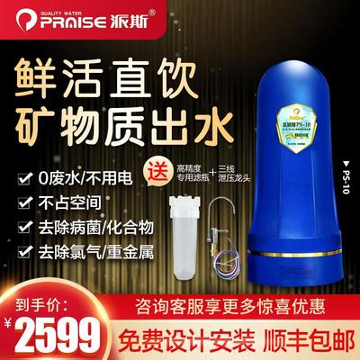 【官方直营】派斯金滤媒PS-10厨房净水器 家用末端直饮机