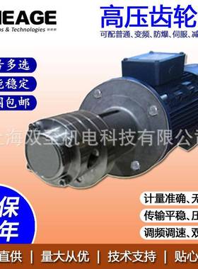 高压齿轮化工泵精细化工造纸齿轮计量泵SHEAGESG703-CS