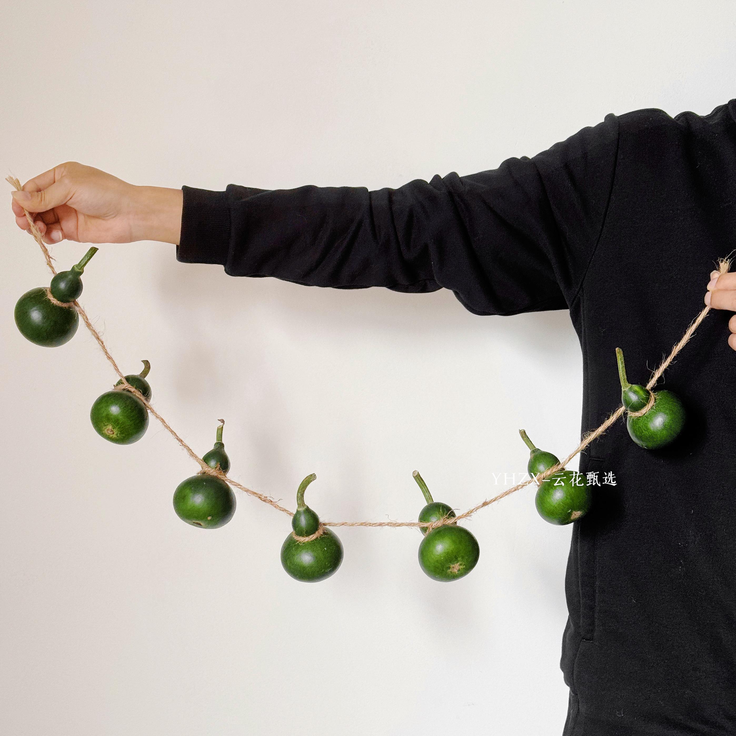 【云花甄选】翡翠葫芦花期长供佛观赏家居客厅书房摆件真鲜花空运