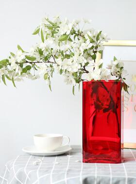 大红色方形玻璃花瓶百合花富贵竹大号落地家居现代客厅插花4050cm