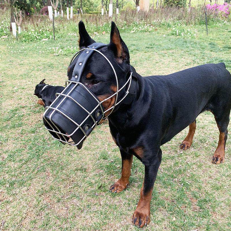 猛犬杜宾狼青东德犬狗嘴套防扒套防口笼防狗金毛大型犬防咬口笼罩