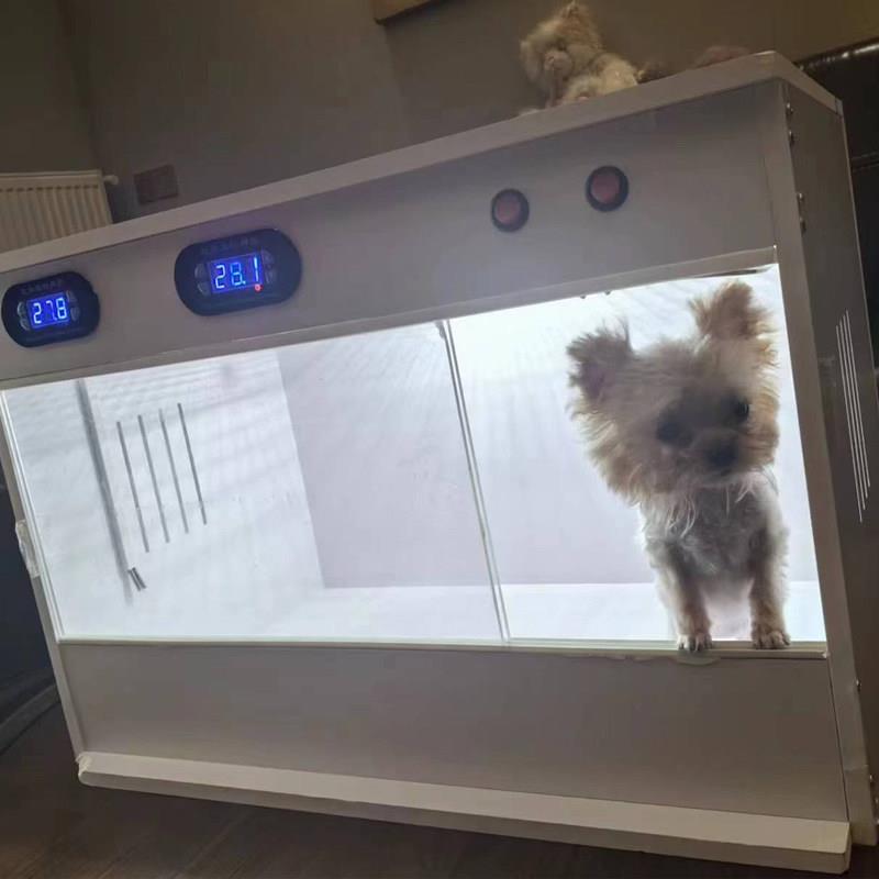 法斗猫狗泰迪斗牛犬恒温保温箱幼崽早产保温无毛猫狗恒温箱烘干箱