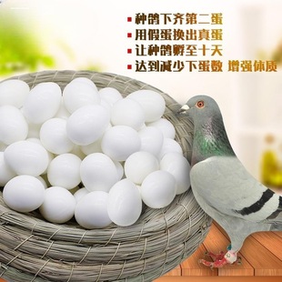 假信鸽蛋/鸽子引产蛋/鸽子蛋/肉鸽用假蛋信鸽实心塑料/假鸽子蛋