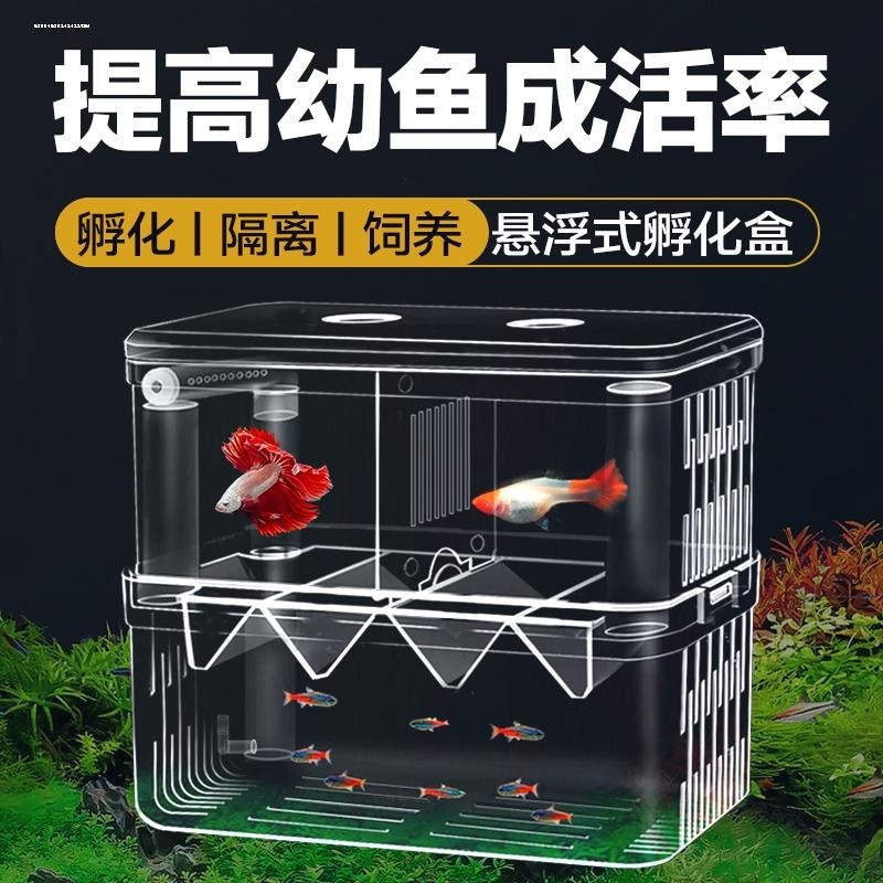 鱼缸隔离盒孔雀鱼繁殖盒凤尾斑马