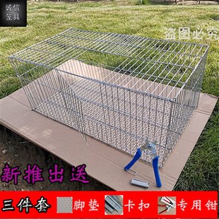 加粗加密鴿子養殖籠兔籠雞籠家用鵪鶉籠鍍鋅鐵絲籠運輸籠大號籠