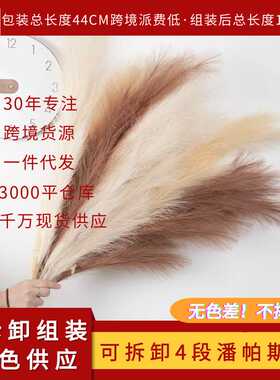 一折仿真花可拆卸四段110cm潘帕斯草组装芦苇草假花MW61215