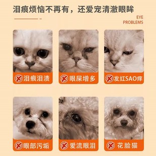 猫咪狗狗泪痕片去泪痕比熊泰迪博美宠物消泪痕眼屎泰迪比熊加菲