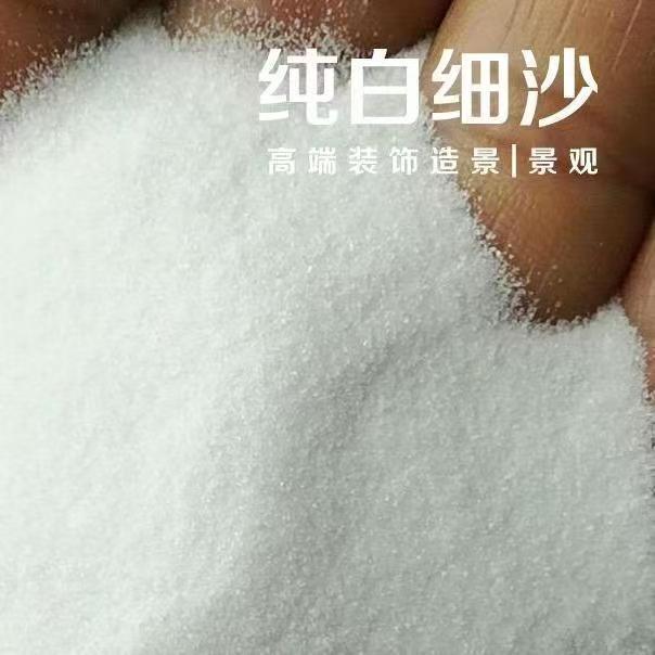 上海石英砂丙烯机理画白色细沙鱼缸装饰底沙儿童美术白沙石子白色图片