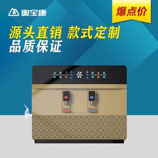 速热饮水家用 直饮冷热双饮净水器直饮加热一体机RO反渗透壁挂台式