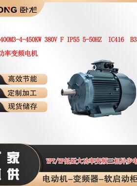 YPT/YP-400M3-4-450KW 380V F IP55 5-50HZ IC416低压变频电机