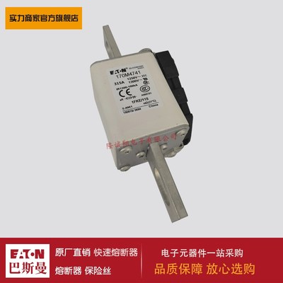 熔断器170M3746 170M3747 170M4738 170M4739 170M4740 170M4741