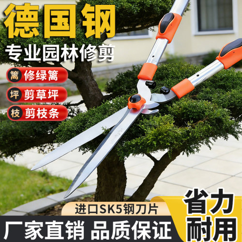 修茶剪草坪剪园林工具