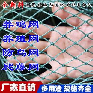 养殖网隔离网防护天网养鸡网菜园围栏网尼龙网护栏网安全网挡鸡网
