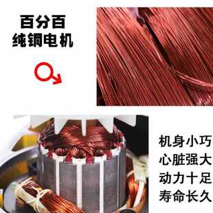 110V电动迷你环链葫 巨凯小金刚电葫芦220V 电动葫芦便携提升机