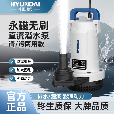 韩国现代潜水泵220v高扬程抽水机小型家用污水水井12v抽水泵农用