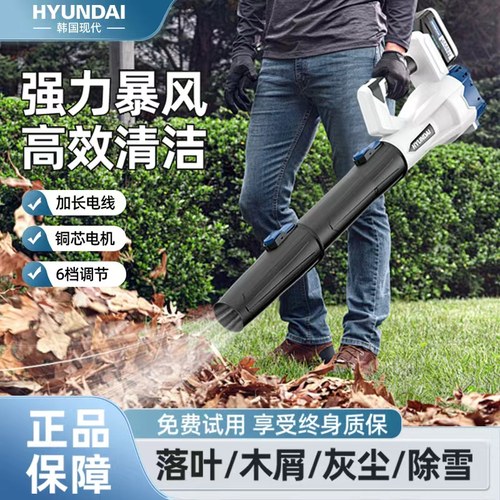 工业级无刷大功率锂电暴风除尘器