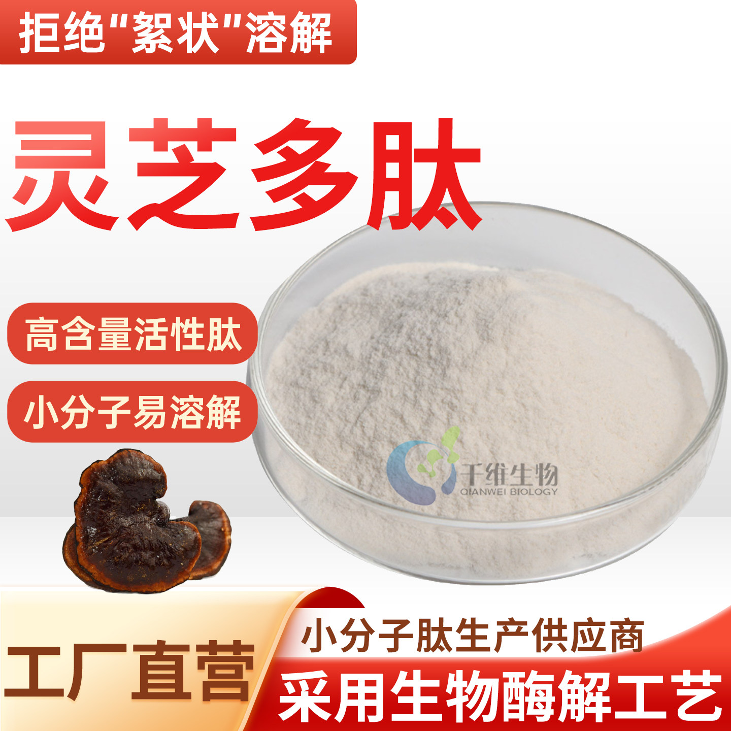 灵芝多肽99%小分子活性多肽≤500da低聚肽水溶食品级原料厂家正品