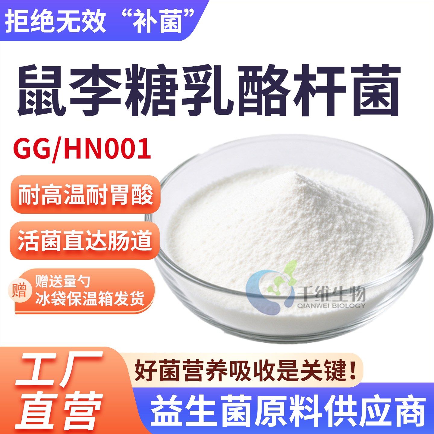 鼠李糖乳酪杆菌100亿 专利进口菌株高活性冻干型益生菌食品级原料