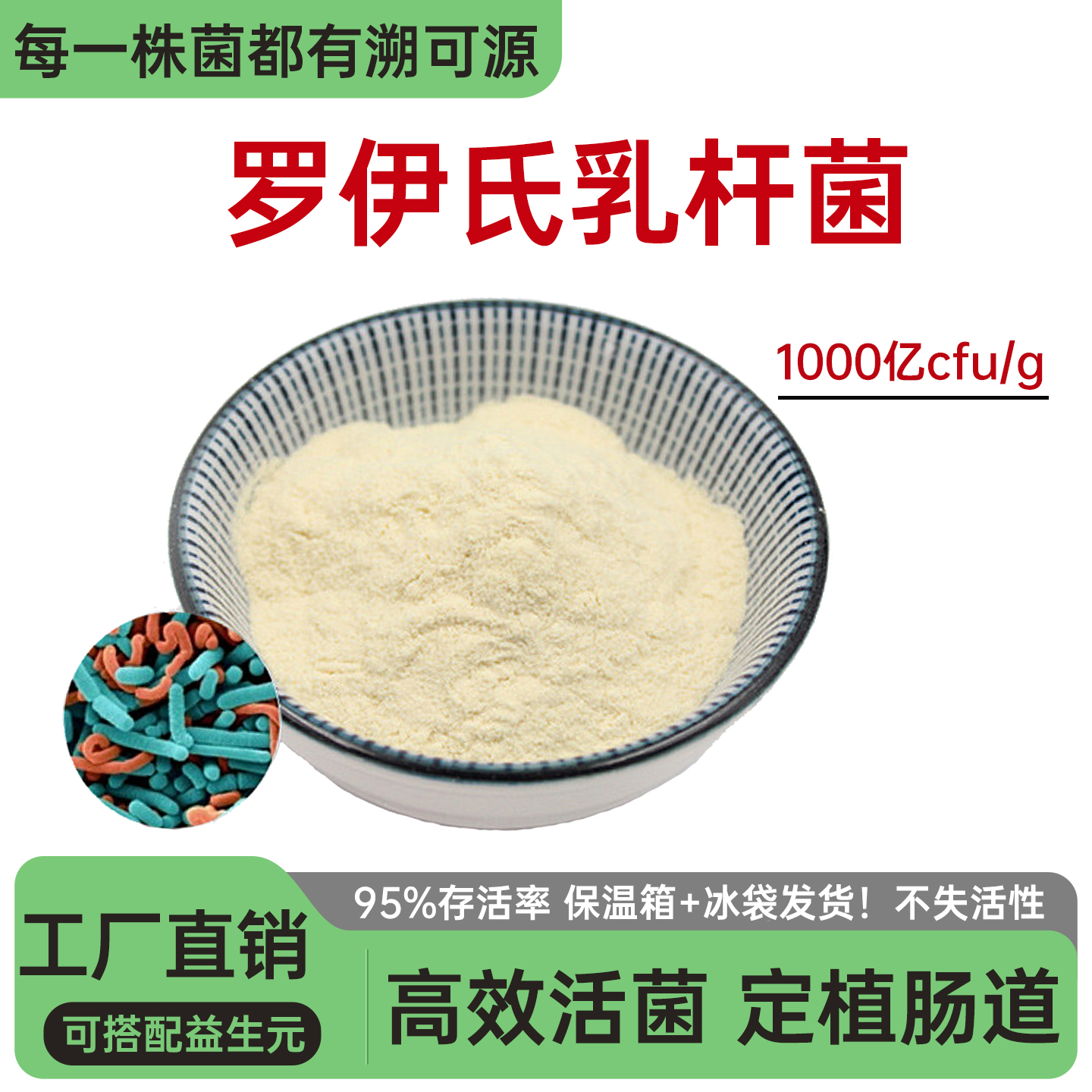 罗伊氏乳杆菌1000亿 高活性冻干粉乳酸菌食品级水溶 厂家正品现货